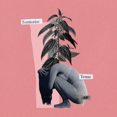 Tenue - territorios