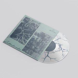 Alternative view of Löri/Letterbombs Split
