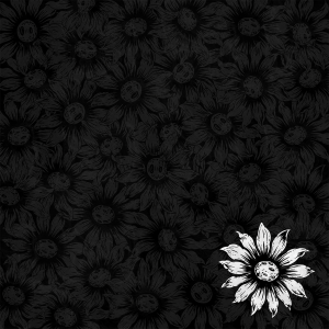 [PREORDER] despiteeverythingitsstillyou - double EP [Fireflies Fall 10th Anniversary limited edition]